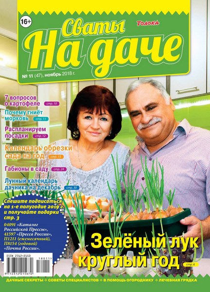 Сваты. На даче №11, ноябрь 2018