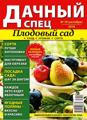 Дачный спец №10, октябрь 2018