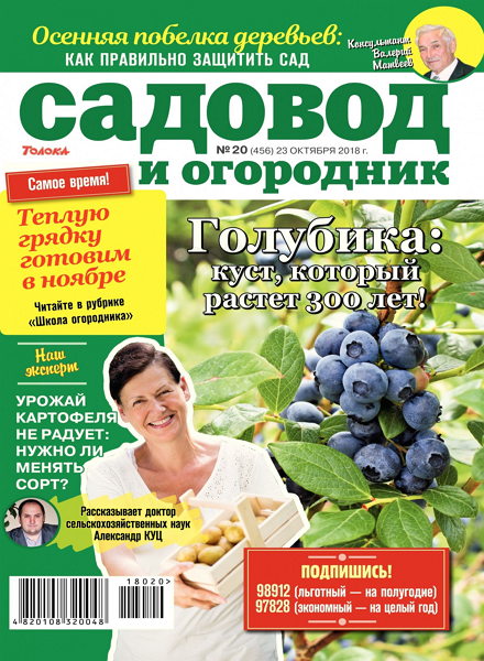 Садовод и огородник №20, октябрь 2018