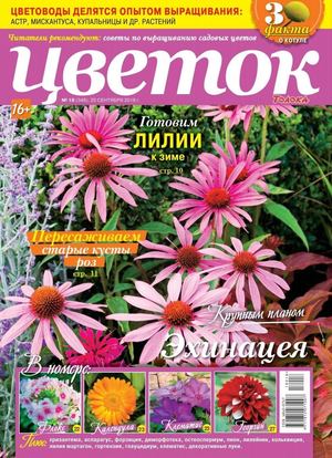 Цветок №18, сентябрь 2018