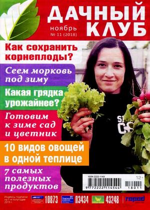 Дачный клуб №11, ноябрь 2018