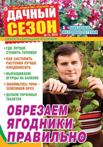 Дачный сезон №11, ноябрь 2019