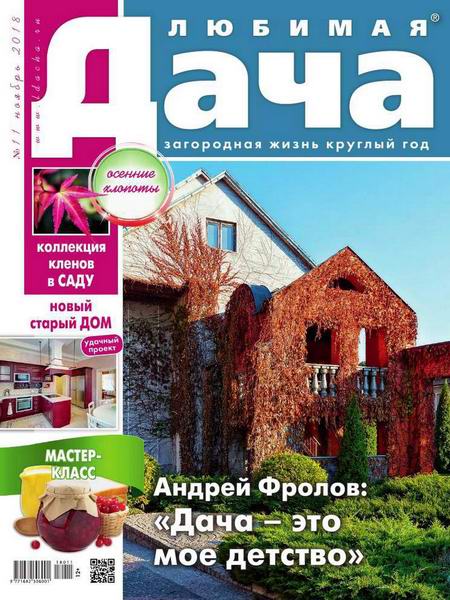 Любимая дача №11, ноябрь 2018