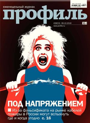 Профиль №38, октябрь 2018