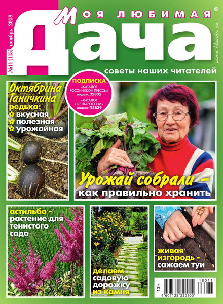 Моя любимая дача №11, ноябрь 2018