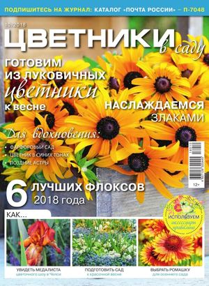 Цветники в саду №10, октябрь 2018