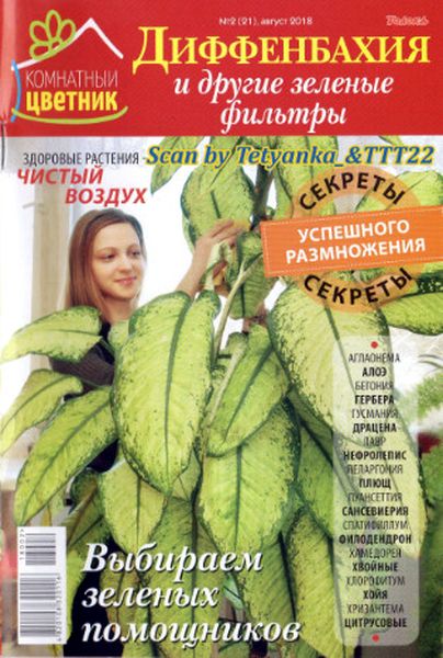 Комнатный цветник №2, август 2018