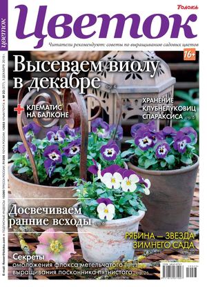 Цветок №23, декабрь 2019