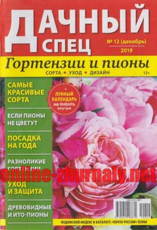 Дачный спец №12. декабрь 2019