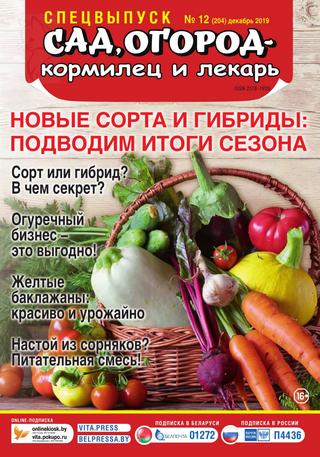 Сад, огород – кормилец и лекарь. Спецвыпуск №12, декабрь 2019