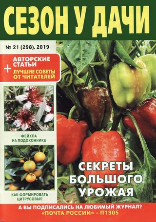 Сезон у дачи №21, ноябрь 2019