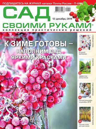 Сад своими руками №12, декабрь 2019
