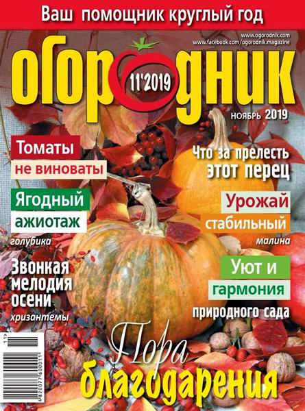 Огородник №11, ноябрь 2019