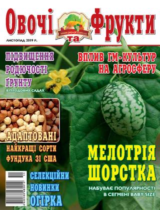 Овощи и фрукты №11, 2019