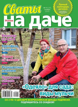 Сваты. На даче №11, ноябрь 2019