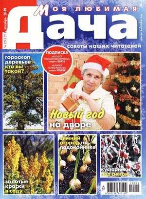 Моя любимая дача №12, декабрь 2019