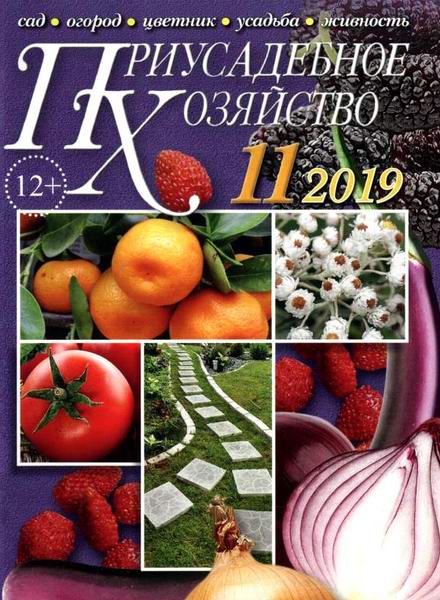 Приусадебное хозяйство №11, ноябрь 2019