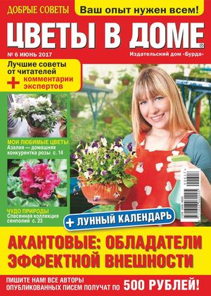 Цветы в доме №6, июнь 2017