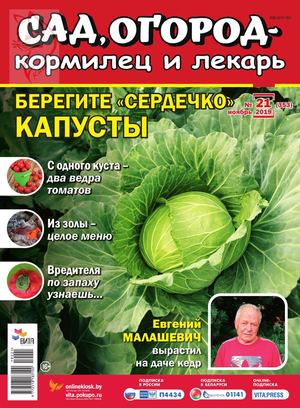 Сад, огород – кормилец и лекарь №21, ноябрь 2019