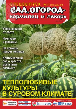Сад, огород – кормилец и лекарь. Спецвыпуск №11, ноябрь 2019