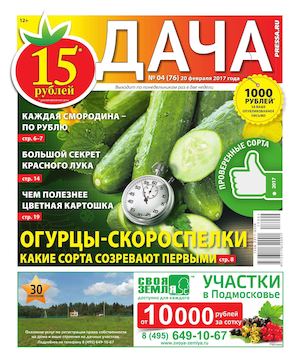 Дача №4, февраль 2017