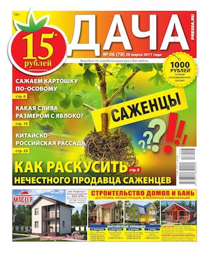 Дача №6, март 2017