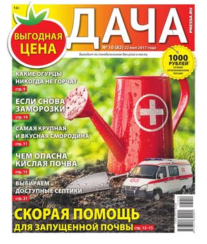 Дача №10, май 2017