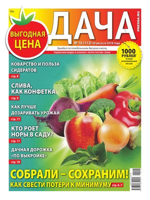 Дача №16, август 2018