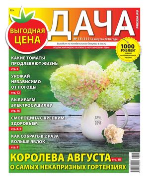 Дача №15, август 2018
