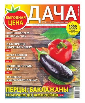 Дача №18, сентябрь 2018