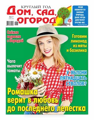 Круглый год: Дом, сад, огород №17, 2018
