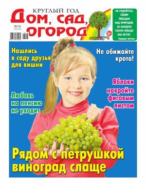 Круглый год: Дом, сад, огород №16, 2018