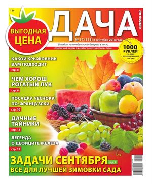Дача №17, сентябрь 2018