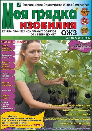 Моя грядка изобилия №9, сентябрь 2018