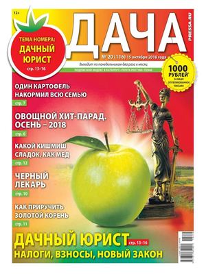 Дача №20, октябрь 2018