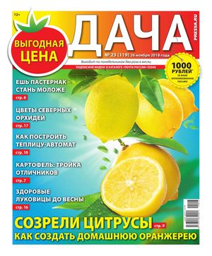 Дача №23, ноябрь 2018
