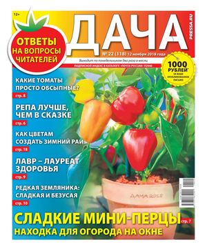 Дача №22, ноябрь 2018