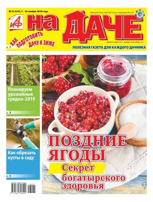 АиФ. На даче №21, ноябрь 2018