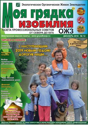 Моя грядка изобилия №12, декабрь 2018