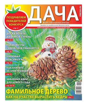Дача №24, декабрь 2018