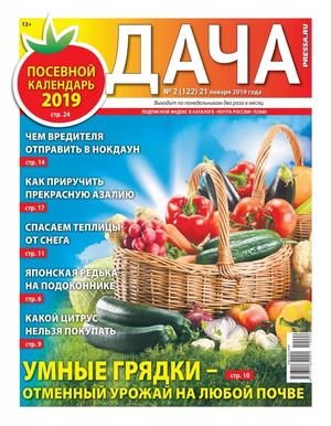 Дача №2, январь 2019