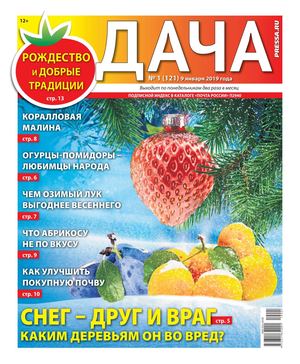 Дача №1, январь 2019