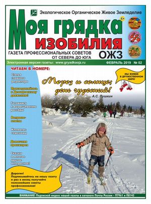 Моя грядка изобилия №2, февраль 2019