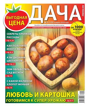 Дача №5, март 2019