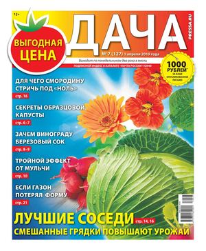 Дача №7, апрель 2019