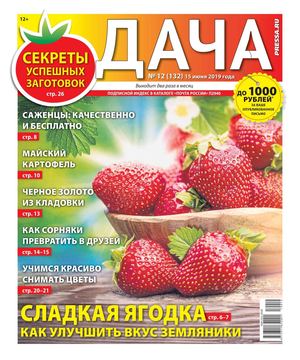 Дача №12, июнь 2019