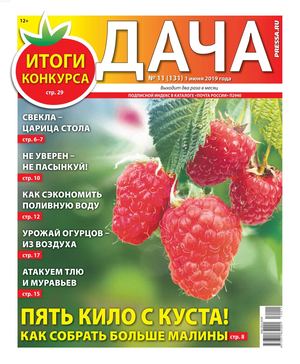 Дача №11, июнь 2019
