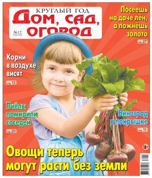 Круглый год: Дом, сад, огород №12, 2019