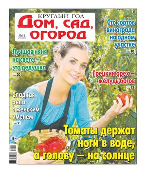 Круглый год: Дом, сад, огород №11, 2019