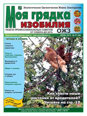 Моя грядка изобилия №7, июль 2019